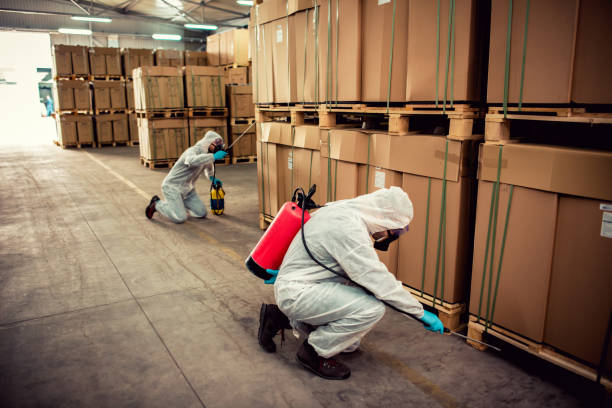 Best Emergency Pest Control  in Lake Carmel, NY