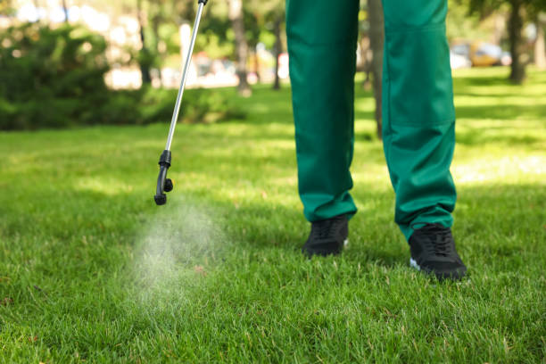 Best Best Pest Control Companies  in Lake Carmel, NY
