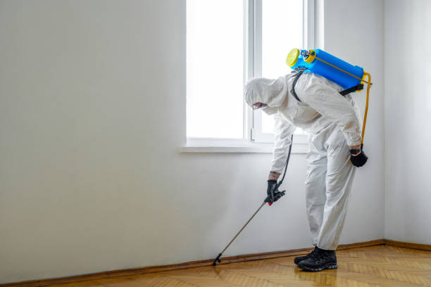 Best Pest Removal Services  in Lake Carmel, NY