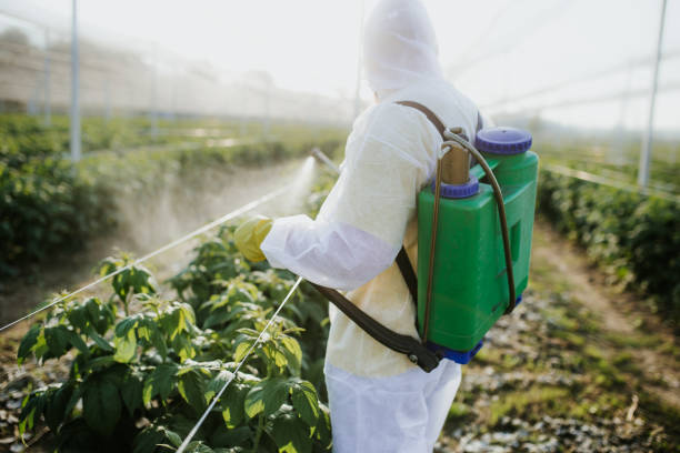 Best Local Pest Control Services  in Lake Carmel, NY